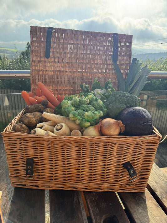 Vegetable Box Medium