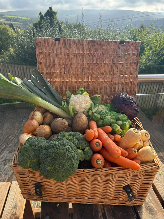 Vegetable Box Large