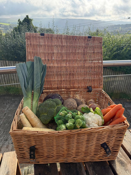Vegetable Box Small